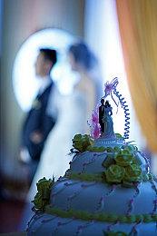 卡普空正在毁掉这款游戏！ 《怪物猎人：荒野》再遭差评轰炸